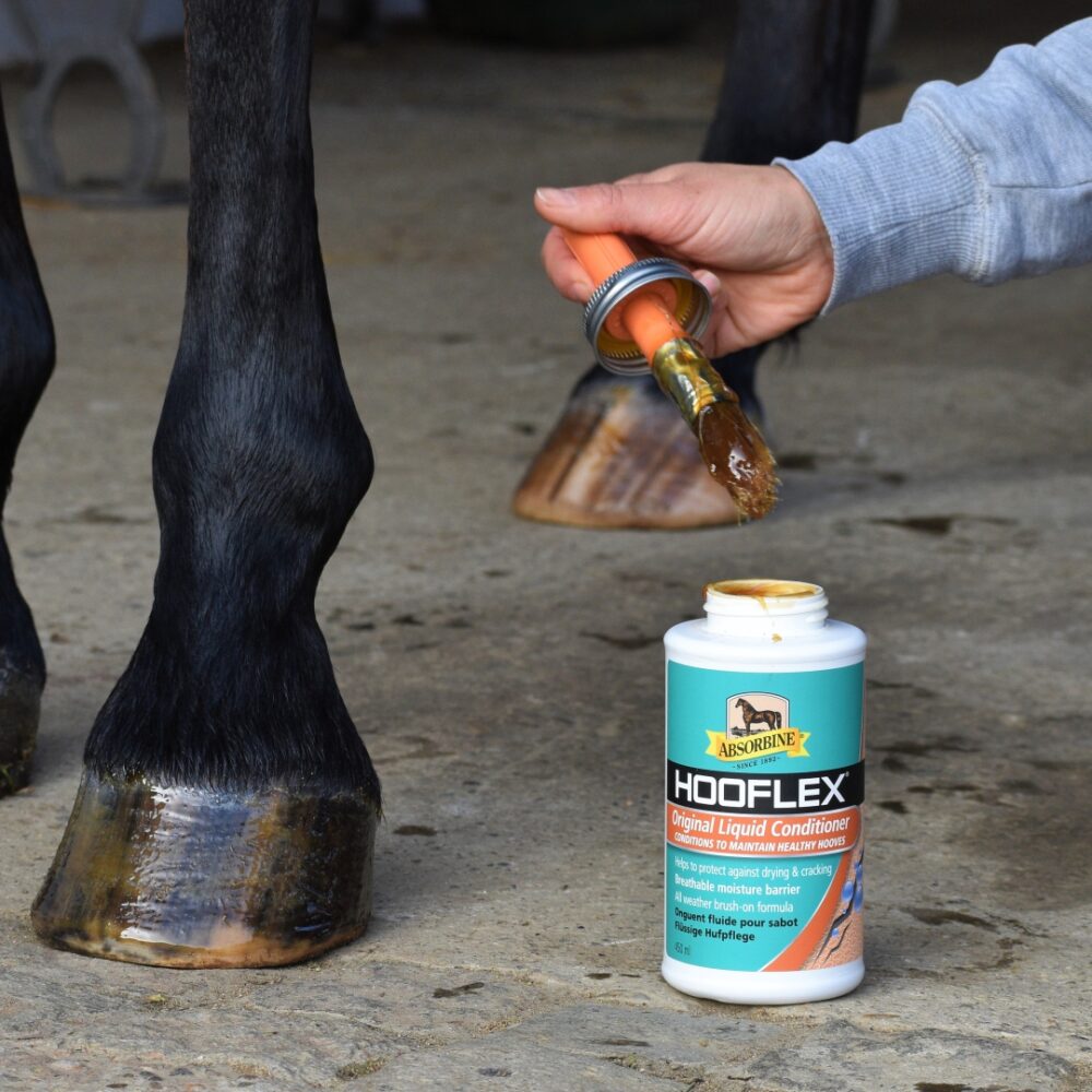 regenerator za kopita