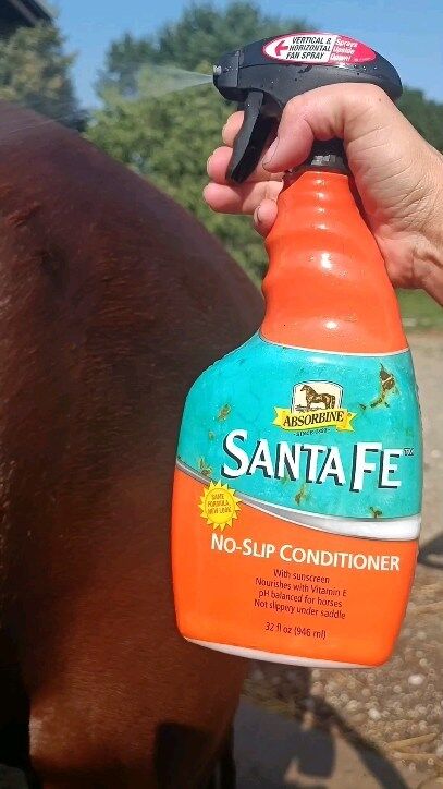 Ljetni mjeseci 🌞 donose sunce i prašinu, a Santa Fe Coat Conditioner & Sunscreen je idealno rješenje zbog svoje sposobnosti zaštite dlake od UV zraka i prljavštine!

Dubinski kondicionira i štiti dlaku, grivu i rep, pružajući svilenkastu mekoću i dugotrajni sjaj. 
Formuliran s vitaminom E, pantenolom i proteinima svile, ovaj regenerator revitalizira dlaku i odbija prašinu. 
Siguran je za upotrebu ispod sedla, što ga čini savršenim izborom za svakodnevnu njegu vašeg konja tijekom ljeta.

Sve o proizvodu pročitajte na našem Webshopu https://equistar-pro.hr/proizvod/absorbine-santa-fe-coat-conditioner-sunscreen/

#horsegrooming #horsegroomingproducts #groomingproducts #showhorse #petgrooming #groomingtips #groomingproducts #horselife #doglife #horsecare #konjičkaoprema #horsewebshop #opremazakonje #opremazajahače #opremazajahanje #equistar #showjumping #dressagehorse #njegakonja #njegapasa #horsecareproducts #showhorsesofinstagram #equestrian  #coatconditioner #absorbine #horsesuncream